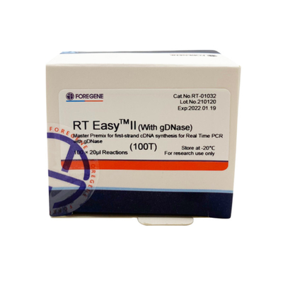 RT EasyTM II z podkładami do odwróconej transkrypcji do użycia Master Premix do syntezy pierwszej nici CDNA / PCR w czasie rzeczywistym