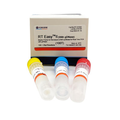RT EasyTM II z podkładami do odwróconej transkrypcji do użycia Master Premix do syntezy pierwszej nici CDNA / PCR w czasie rzeczywistym