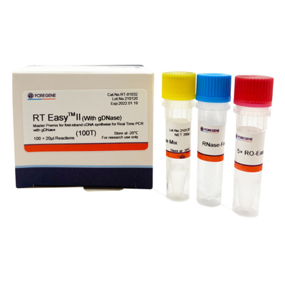 RT EasyTM II z podkładami do odwróconej transkrypcji do użycia Master Premix do syntezy pierwszej nici CDNA / PCR w czasie rzeczywistym