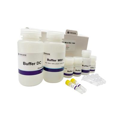 Genomowy DNA Purification Lab Reagent Blood DNA Mini Kit Zestawy do izolacji DNA