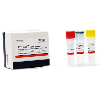 RT Easy II Master Premix do syntezy pierwszej nici CDNA z GDNazą