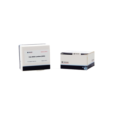 Drabina DNA 1 Kb do wykrywania elektroforezy fragmentów DNA Zastosowanie w badaniach naukowych