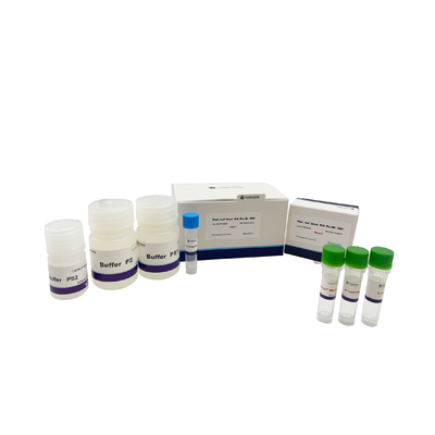Plant Leaf Direct PCR Plus Kit UNG PCR Kit DNA Polymerase Lysis Buffer Liść roślinny dla roślin transgenicznych