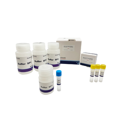 Plant Seed Direct PCR Kit I/II Pcr Kit Lysis Buffer Ce Iso Bufor ładujący dla roślin transgenicznych