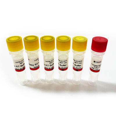 Foreasy M-MLV Odwrotna transkryptaza do zestawów PCR do przedłużania syntezy CDNA z polimerazą DNA