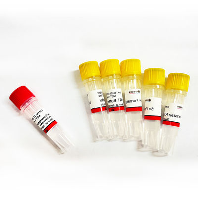 Foreasy M-MLV Odwrotna transkryptaza do zestawów PCR do przedłużania syntezy CDNA z polimerazą DNA