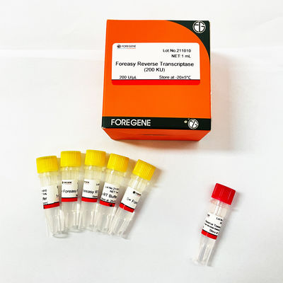 Foreasy M-MLV Odwrotna transkryptaza do zestawów PCR do przedłużania syntezy CDNA z polimerazą DNA