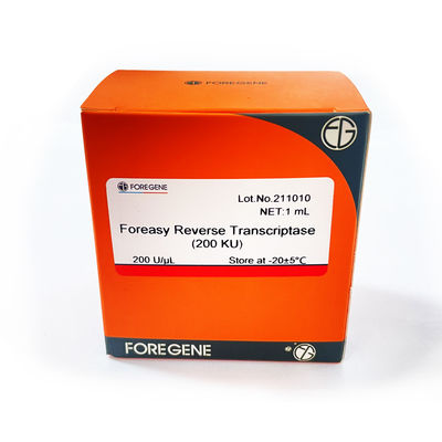 Foreasy M-MLV Odwrotna transkryptaza do zestawów PCR do przedłużania syntezy CDNA z polimerazą DNA