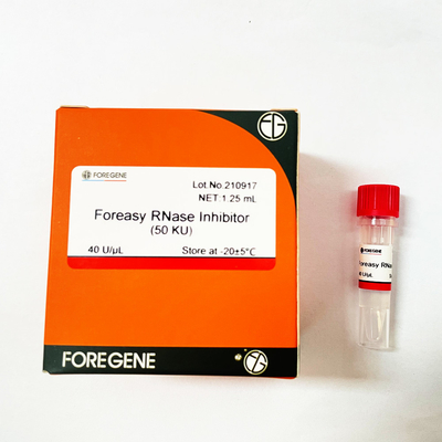 Ochrona RNA Inhibitor RNazy Foreasy do zestawów do transkrypcji systemu odwrotnej transkrypcji