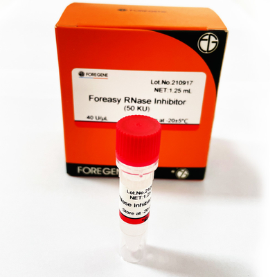 Ochrona RNA Inhibitor RNazy Foreasy do zestawów do transkrypcji systemu odwrotnej transkrypcji