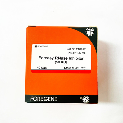 Ochrona RNA Inhibitor RNazy Foreasy do zestawów do transkrypcji systemu odwrotnej transkrypcji