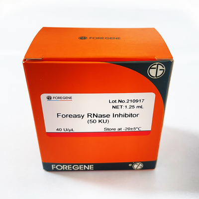 Ochrona RNA Inhibitor RNazy Foreasy do zestawów do transkrypcji systemu odwrotnej transkrypcji