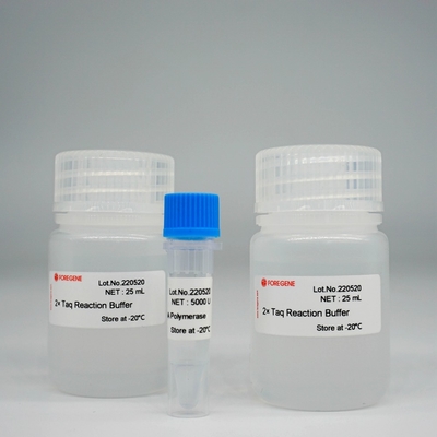 Zestaw polimerazy Foreasy Taq DNA Polymerase HotStar Taq do PCR/QPCR