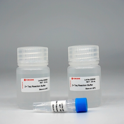 Zestaw polimerazy Foreasy Taq DNA Polymerase HotStar Taq do PCR/QPCR