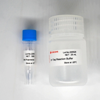 Zestaw polimerazy Foreasy Taq DNA Polymerase HotStar Taq do PCR/QPCR