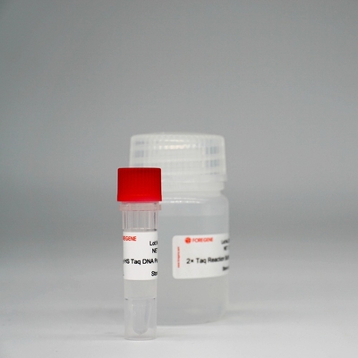 Foreasy HS Taq DNA Polymerase Super HotStar Taq Enzyme Mix do PCR/QPCR