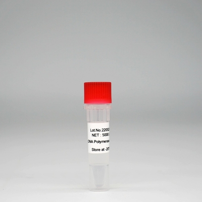 Foreasy HS Taq DNA Polymerase Super HotStar Taq Enzyme Mix do PCR/QPCR