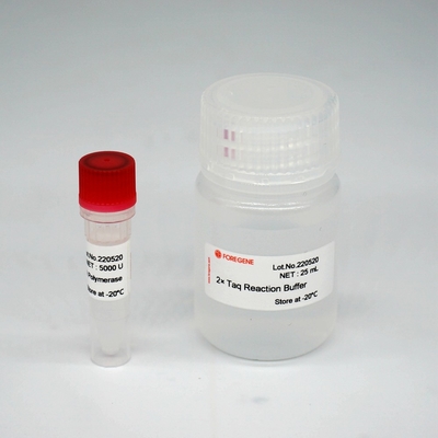 Foreasy HS Taq DNA Polymerase Super HotStar Taq Enzyme Mix do PCR/QPCR