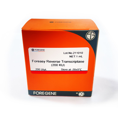 Foreasy Nowa generacja enzymu odwrotnej transkryptazy RT M-MLV Foreasy