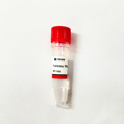 Chiny IVD Factory High Production Foreasy Inhibitor RNazy do ochrony RNA