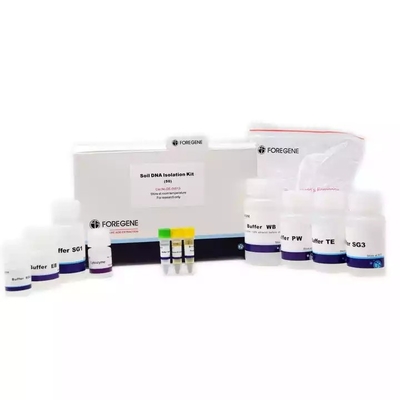 Bez RNazy Lab Reagent Zestaw do izolacji DNA z gleby Tylko DNA Typ kolumny