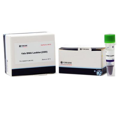 Foregene DNA Marker 5000 400 testów 500x4 μL Opakowanie 100-5000 pz Marker DNA