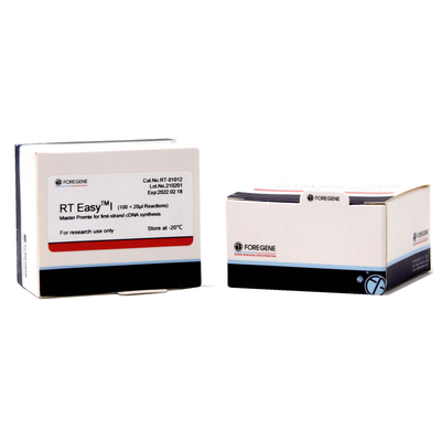 RT Easy I 2×High Efficiency PCR Reaction Premix System do badań laboratoryjnych