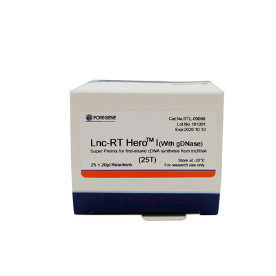 Lnc-RT HeroTM I (z gDNase) Super Premix do syntezy pierwszej nici cDNA z lncRNA Nr kat. RTL-09098/09099