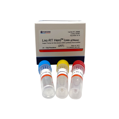 Lnc-RT HeroTM I (z gDNase) Super Premix do syntezy pierwszej nici cDNA z lncRNA Nr kat. RTL-09098/09099