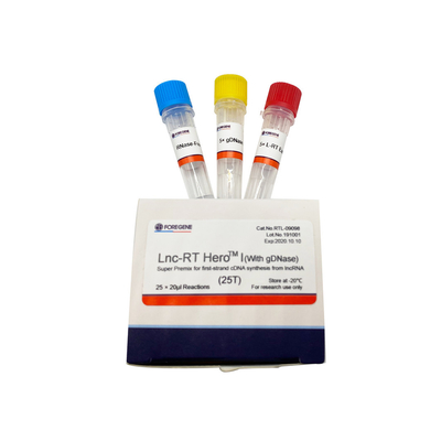 Lnc-RT HeroTM I (z gDNase) Super Premix do syntezy pierwszej nici cDNA z lncRNA Nr kat. RTL-09098/09099