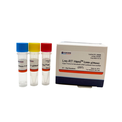 Lnc-RT HeroTM I (z gDNase) Super Premix do syntezy pierwszej nici cDNA z lncRNA Nr kat. RTL-09098/09099