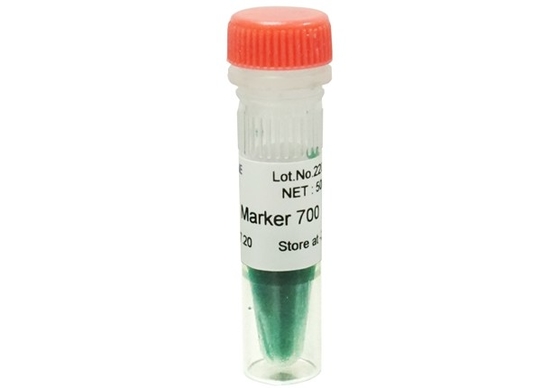 Zestaw DNA Marker Agarose Gel PCR Drabinka DNA 700 pz do testów biologii molekularnej