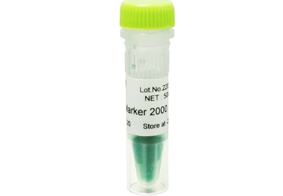 2000bp DNA Marker Żel agarozowy Zestaw PCR Drabina DNA do badań