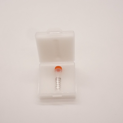 Sonda BCL6 Dual Color Break Apart do wykrywania nieprawidłowości ludzkiego genu BCL6