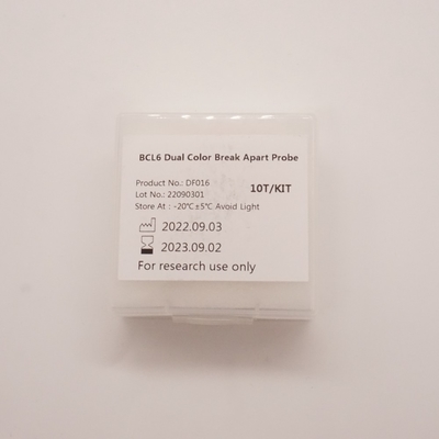 Sonda BCL6 Dual Color Break Apart do wykrywania nieprawidłowości ludzkiego genu BCL6