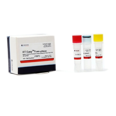 CDNA Synthesis PCR Master Premix Odwrotna transkrypcja RT Easy II 50T 200T