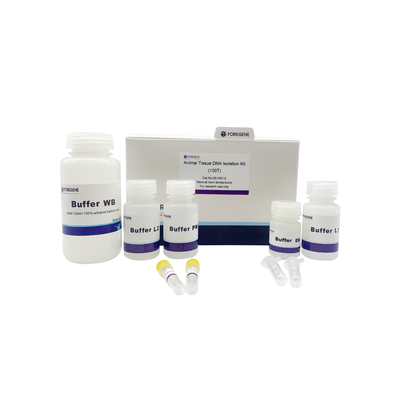 Zestaw do izolacji DNA Spin Column Plant Tissue DNA 50T 100T 250 Preps