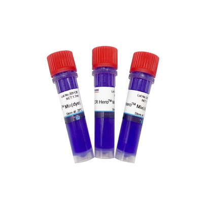 Zestawy Fast Reagent PCR z barwnikiem PH-01013-B PCR Mix 3*1.7ml 50ml
