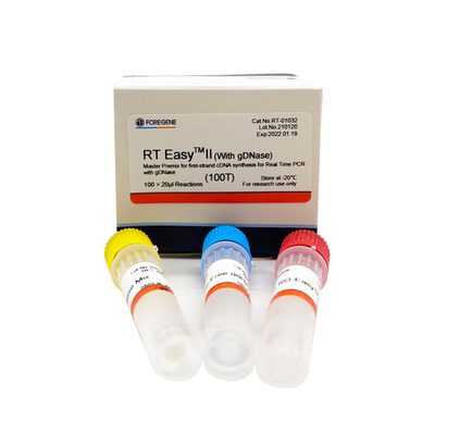 Zestawy Fast RT Easy II 25T odwrotnej transkryptazy z DNazą do PCR w czasie rzeczywistym