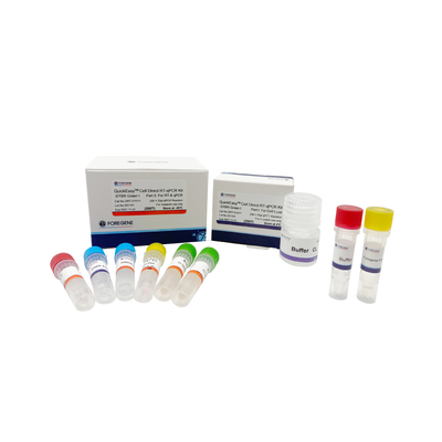 Bufor CL One Step RT QPCR Kit 200T 1000T bezpośrednio z hodowanych komórek RT-QPCR