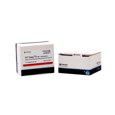 Zestawy do odwrotnej transkrypcji cDNA Fast Master Premix 200×10ul 800×10µl