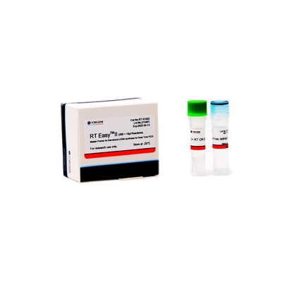 Zestawy do odwrotnej transkrypcji cDNA Fast Master Premix 200×10ul 800×10µl