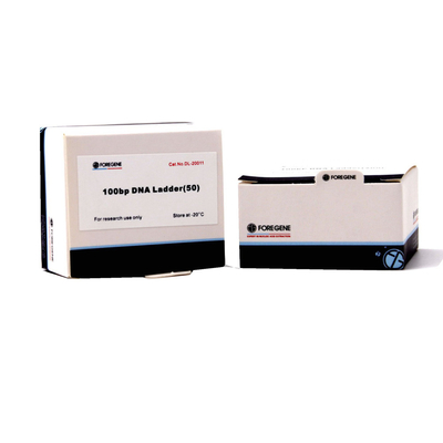 Foregene 100bp DNA Ladder PCR Kits 160 Ug/ml Lepszy efekt separacji