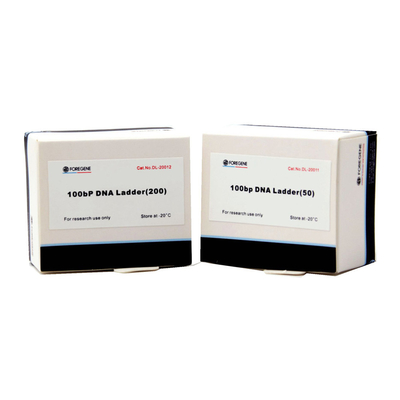 Foregene 100bp DNA Ladder PCR Kits 160 Ug/ml Lepszy efekt separacji