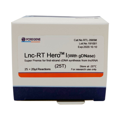 Zestaw do odwrotnej transkrypcji DNase Lnc-RT HeroTM I Super Premix 25×20ul Rxns