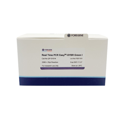 Zestawy SYBR Green I Easy Premix System Real Time PCR do reakcji amplifikacji PCR