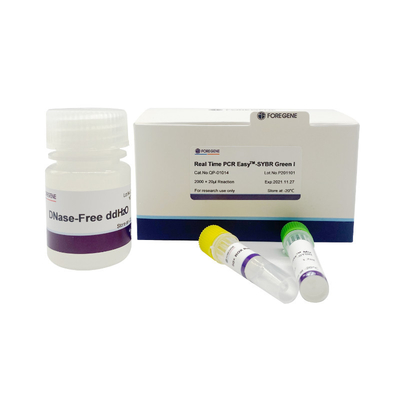 Zestawy SYBR Green I Easy Premix System Real Time PCR do reakcji amplifikacji PCR