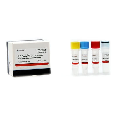First Strand CDNA Synthesis System odwróconej transkrypcji RT Easy I Master Premix