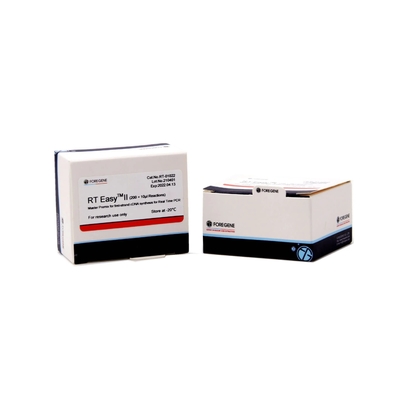System odwrotnej transkrypcji RT Easy II Master Premix do syntezy cDNA produktu Real Time PCR