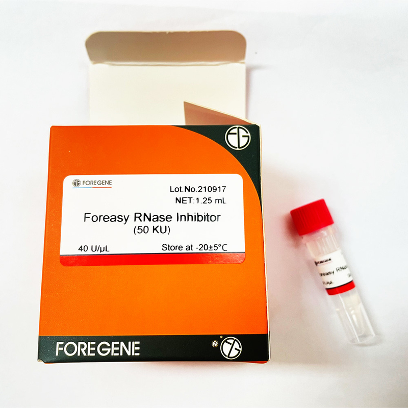Ochrona RNA Inhibitor RNazy Foreasy do zestawów do transkrypcji systemu odwrotnej transkrypcji